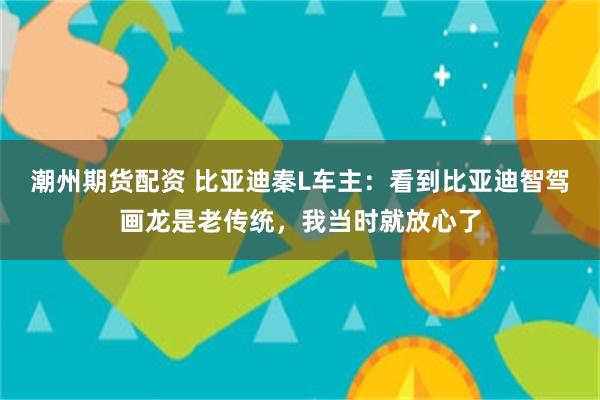 潮州期货配资 比亚迪秦L车主：看到比亚迪智驾画龙是老传统，我