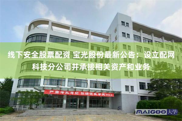 线下安全股票配资 宝光股份最新公告：设立配网科技分公司并承接