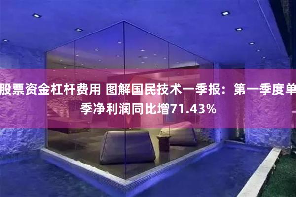 股票资金杠杆费用 图解国民技术一季报：第一季度单季净利润同比