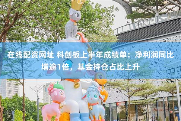 在线配资网址 科创板上半年成绩单：净利润同比增逾1倍，基金持