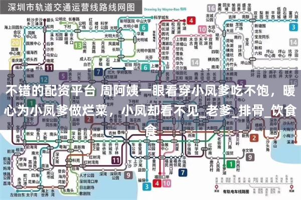 不错的配资平台 周阿姨一眼看穿小凤爹吃不饱，暖心为小凤爹做烂