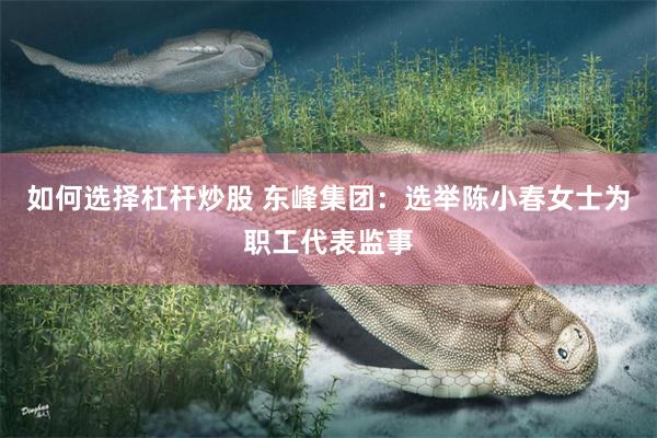 如何选择杠杆炒股 东峰集团：选举陈小春女士为职工代表监事