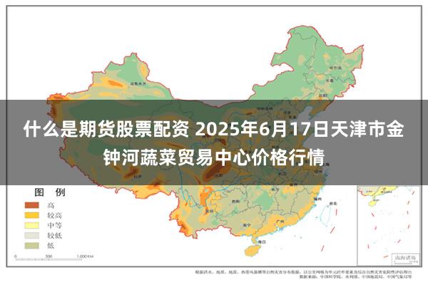 什么是期货股票配资 2025年6月17日天津市金钟河蔬菜贸易中心价格行情
