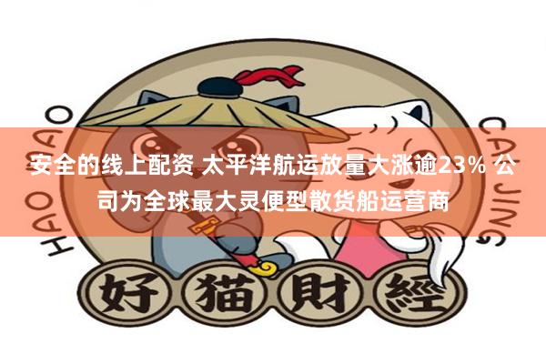 安全的线上配资 太平洋航运放量大涨逾23% 公司为全球最大灵
