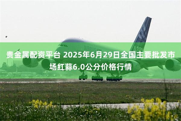 贵金属配资平台 2025年6月29日全国主要批发市场红蒜6.