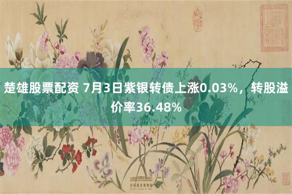 楚雄股票配资 7月3日紫银转债上涨0.03%，转股溢价率36